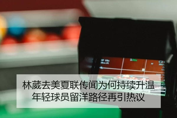 林葳去美夏联传闻为何持续升温 年轻球员留洋路径再引热议